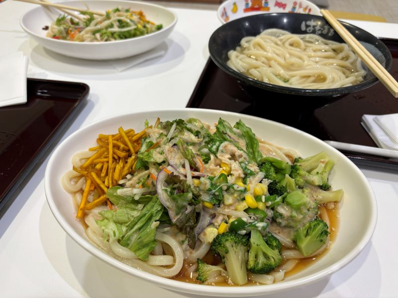 はなまるうどんの10種野菜のサラダうどん