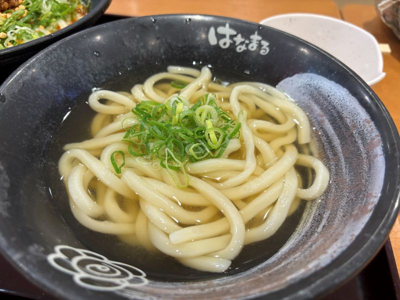 はなまるうどんのかけうどん